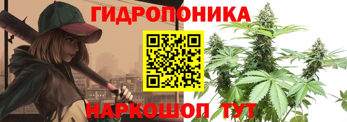 Бошки Шишки гибрид  Марихуана White Widow  Троицк  Шишки марихуана VHQ  Вход с VPN 