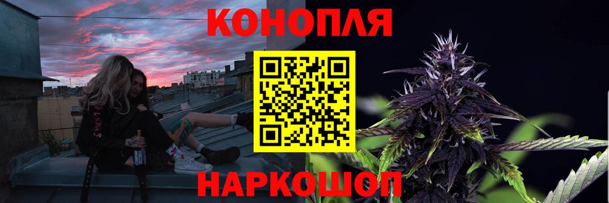 Бошки марихуана сатива Троицк